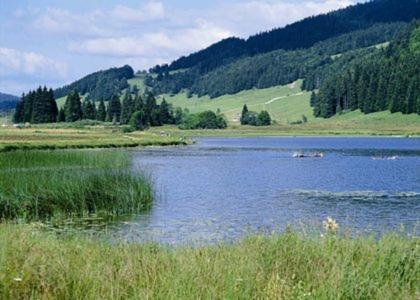 Willa Le Tetras Lamoura Zewnętrze zdjęcie